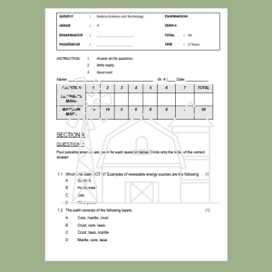 November Examination