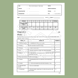 Term 3 Test
