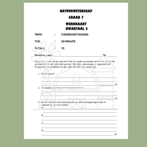 WORKSHEET - Intertidal zones