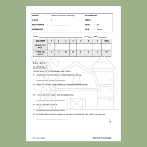 Term 4 Examination
